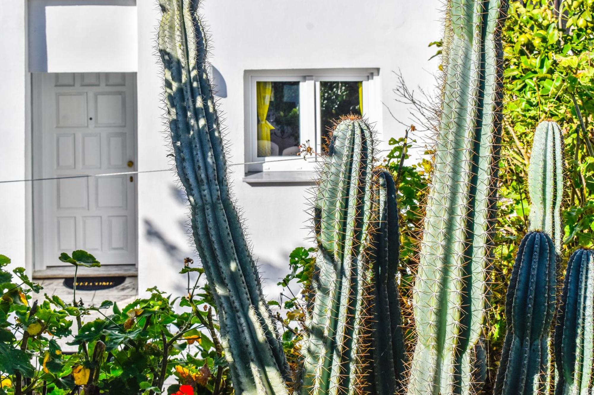 Apartamento Nest View House Skiathos Exterior foto